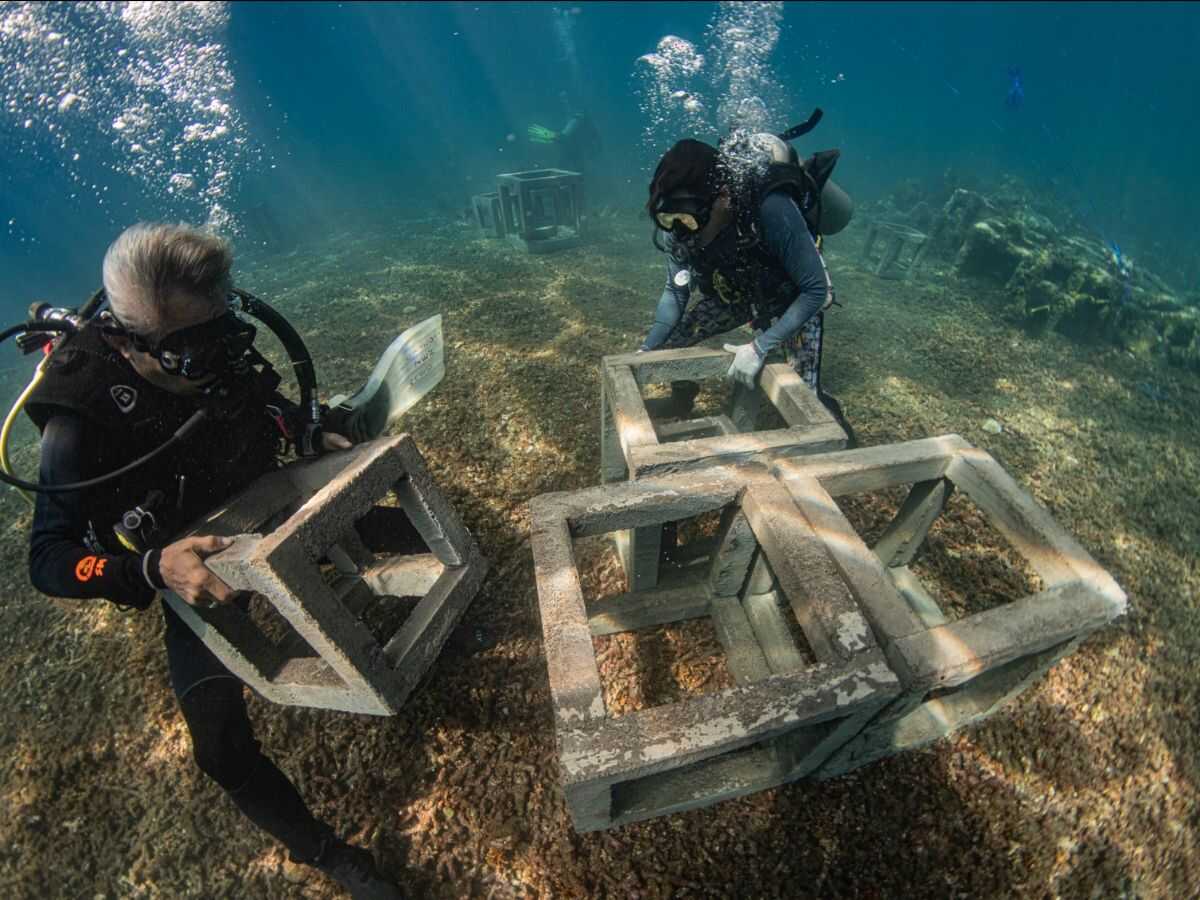 stability artificial reefs image