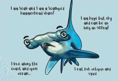 Elasmobranch protection image